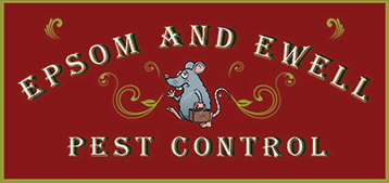 Epsom & Ewell Pest Control